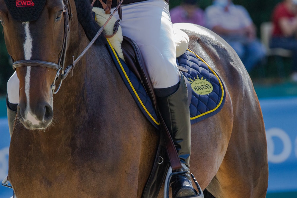 man in white shirt riding brown horse during daytime