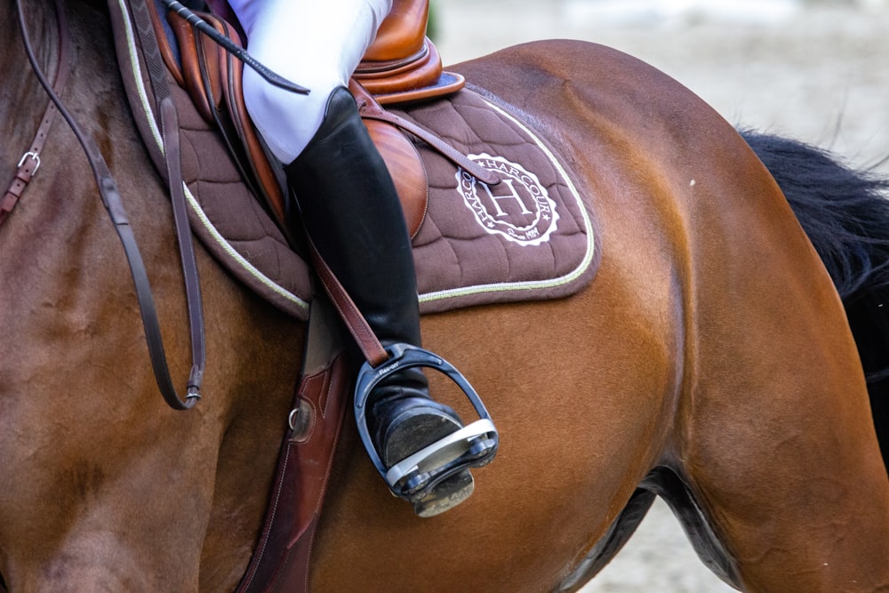 Person mit weißem Cowboyhut reitet tagsüber auf braunem Pferd