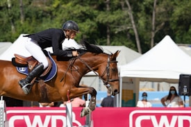 A rider dressed in a black jacket, white pants, and a black helmet is jumping over a fence on a brown horse in an equestrian event. There are tents and people in the background, some of whom are wearing masks. The event branding 'CWD' can be seen on the fence.
