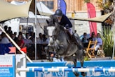 man in black leather jacket riding on horse during daytime