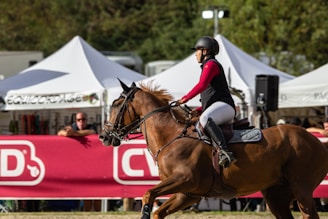 A person riding a brown horse during an equestrian event, wearing a helmet and riding gear. White tents and spectators are visible in the background, indicating a public setting.