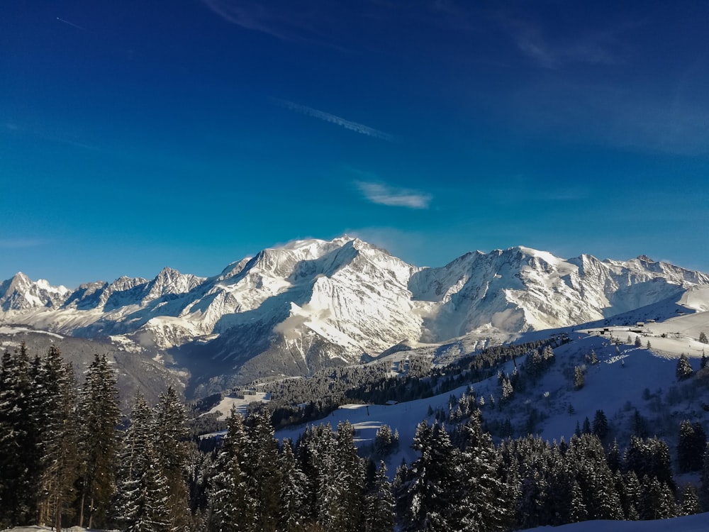 snow covered mountain under blue sky during daytime