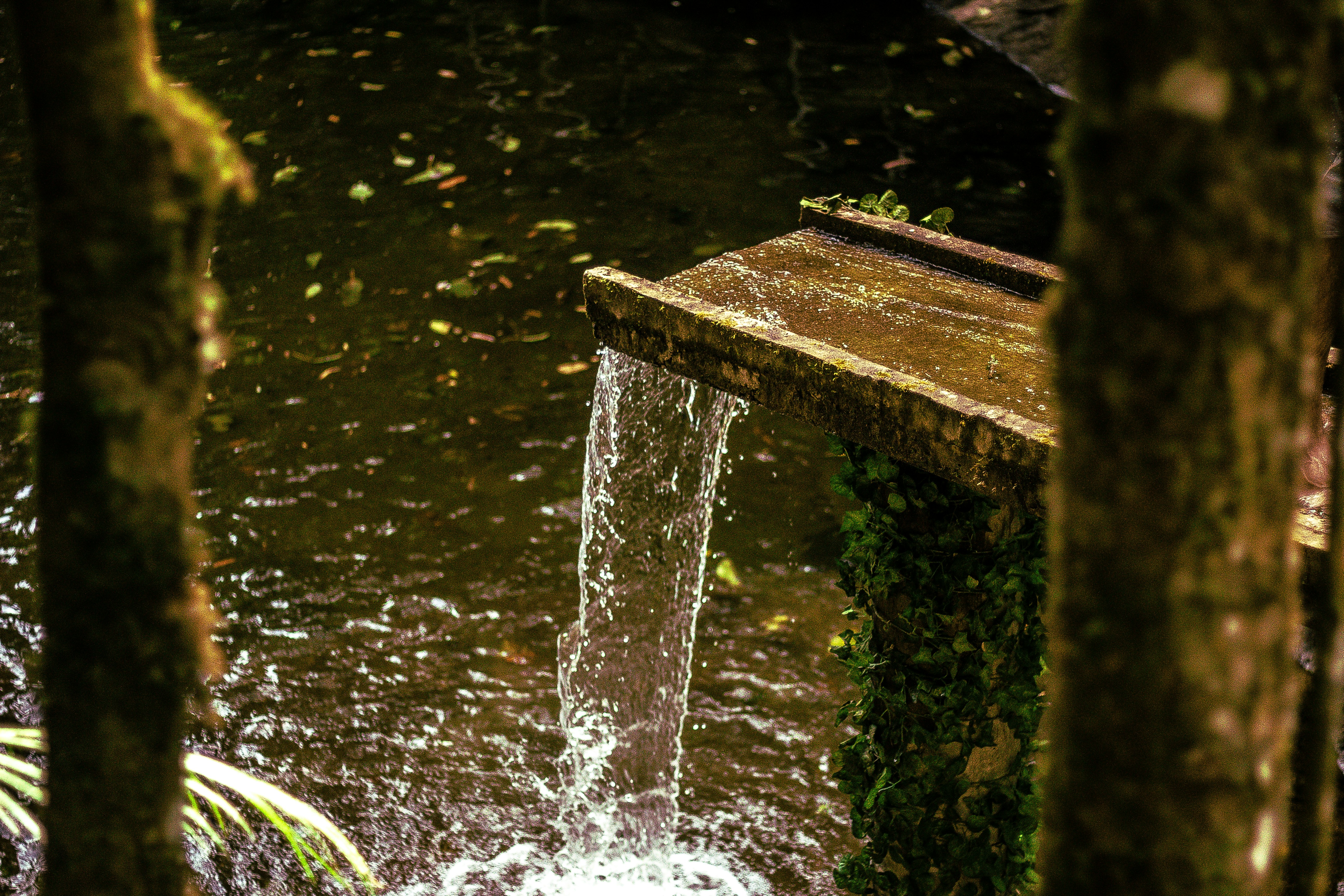 Photo by ferreiramarcos___