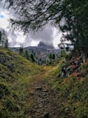 A winding mountain trail surrounded by lush green forests and distant peaks