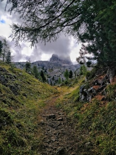 A lush mountain trail winding through emerald green forests.