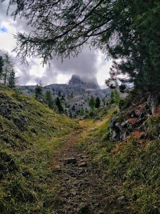 A winding mountain trail surrounded by lush green forests and distant peaks