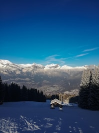 A breathtaking live view of Mount Hood covered in snow.