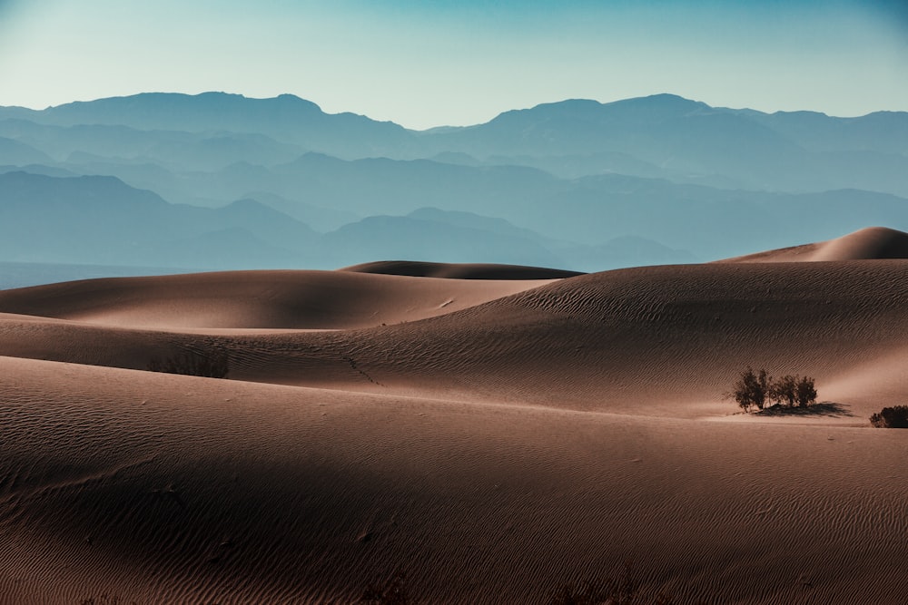 brown sand field during daytime