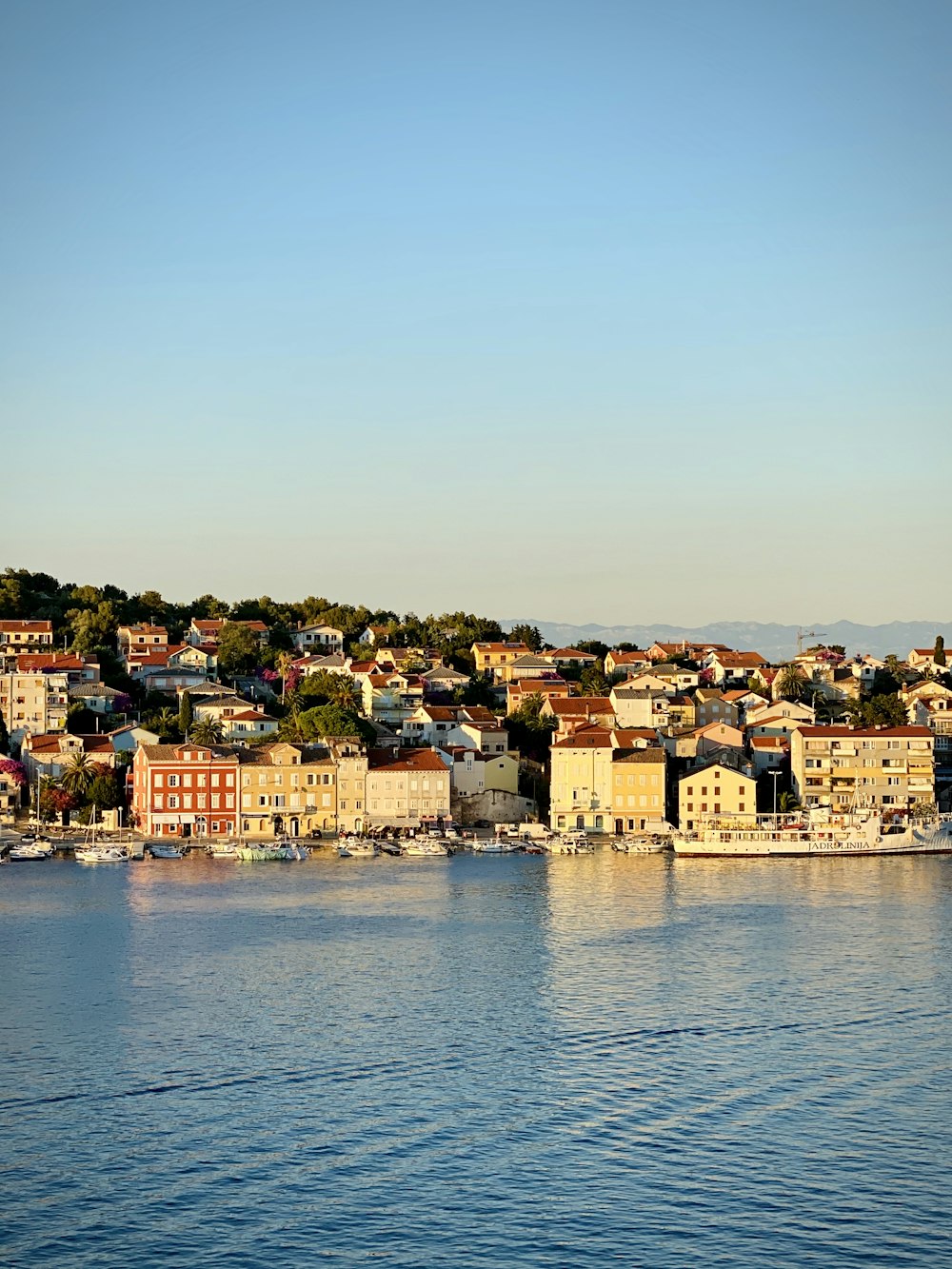 city buildings near body of water during daytime