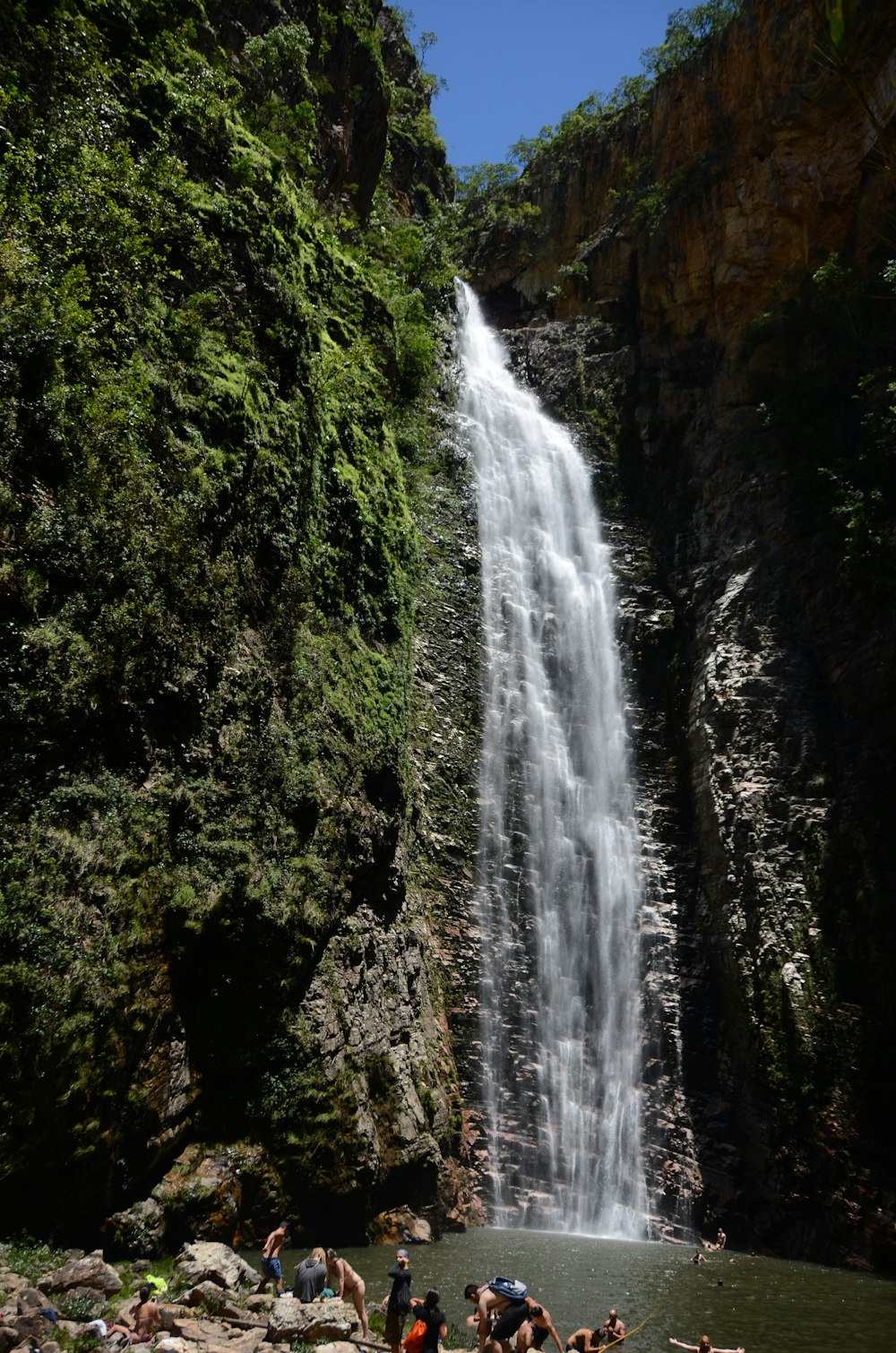 Cascate nella foresta durante il giorno