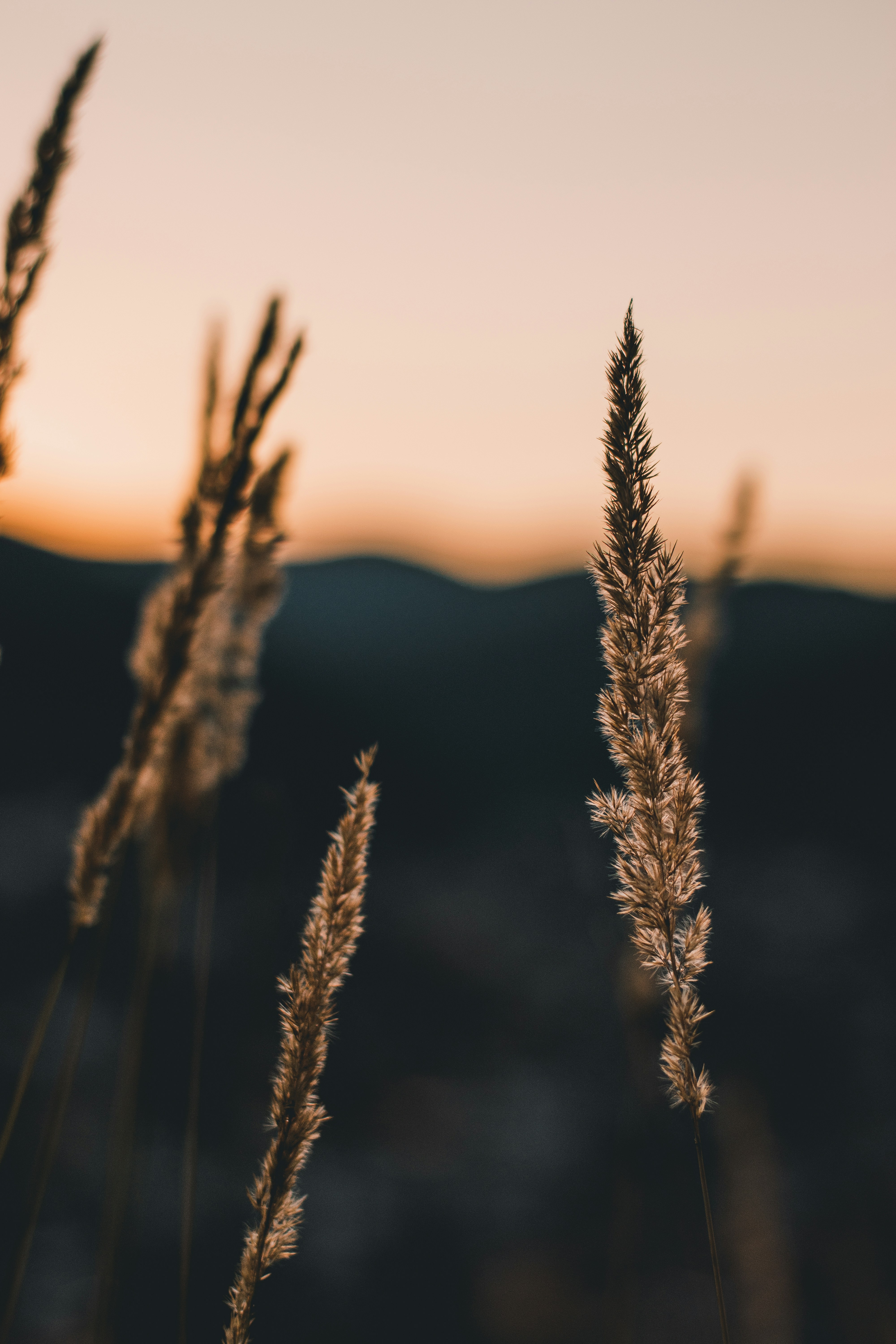 Photo by rapt_in_the_city