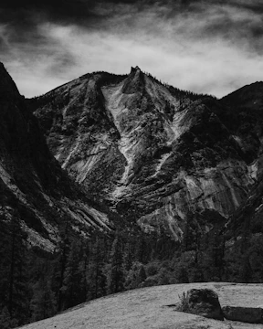 A dramatic outdoor landscape with sharp contrasts and rich textures.