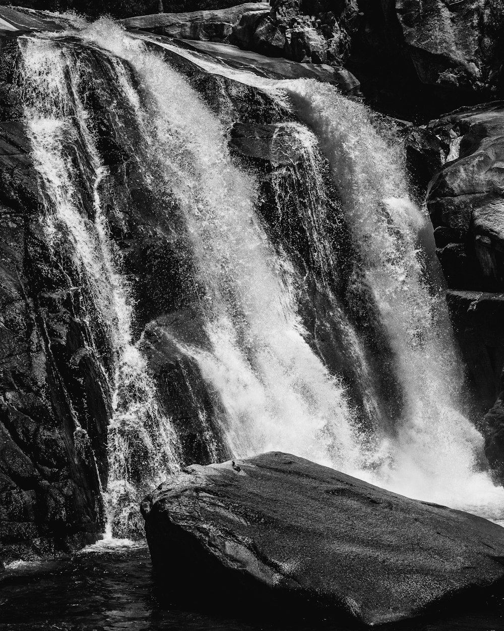 grayscale photo of waterfalls in the middle of the forest