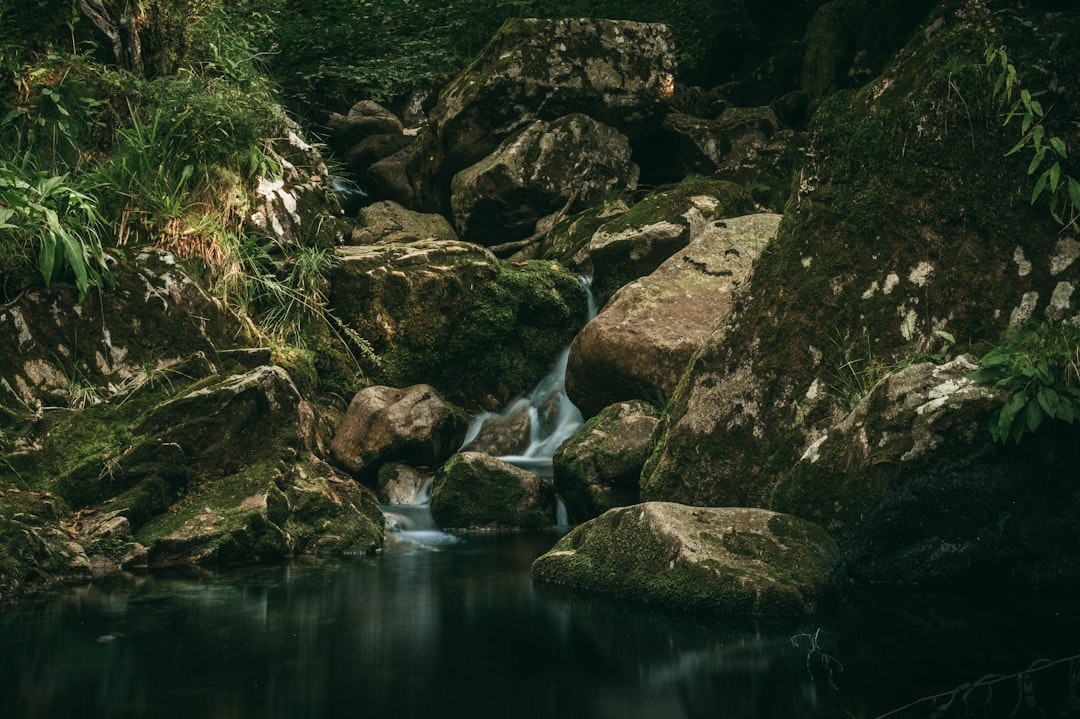 gray rocky river with green moss on rocks