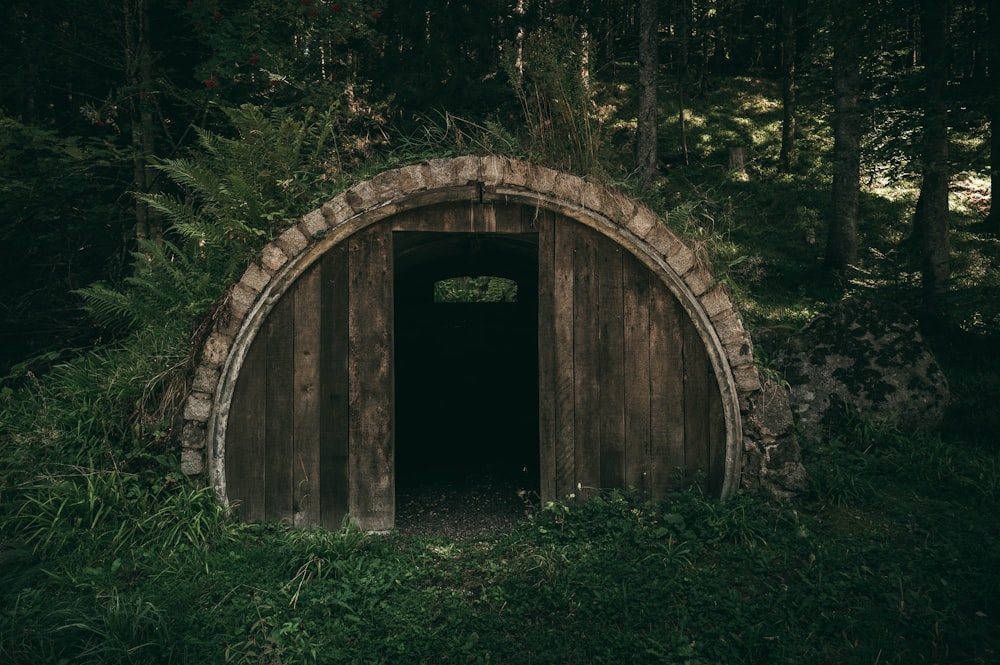 brown wooden tunnel in forest