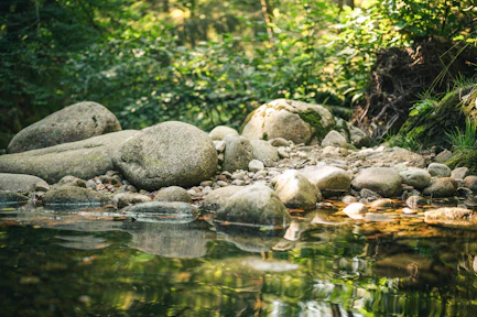 gray rocks on river during daytime