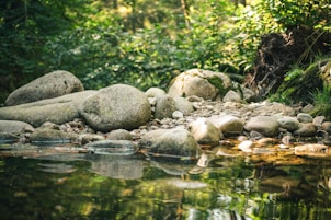 gray rocks on river during daytime
