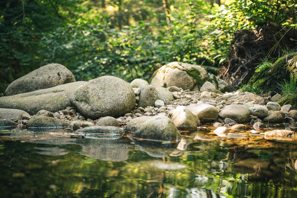 gray rocks on river during daytime