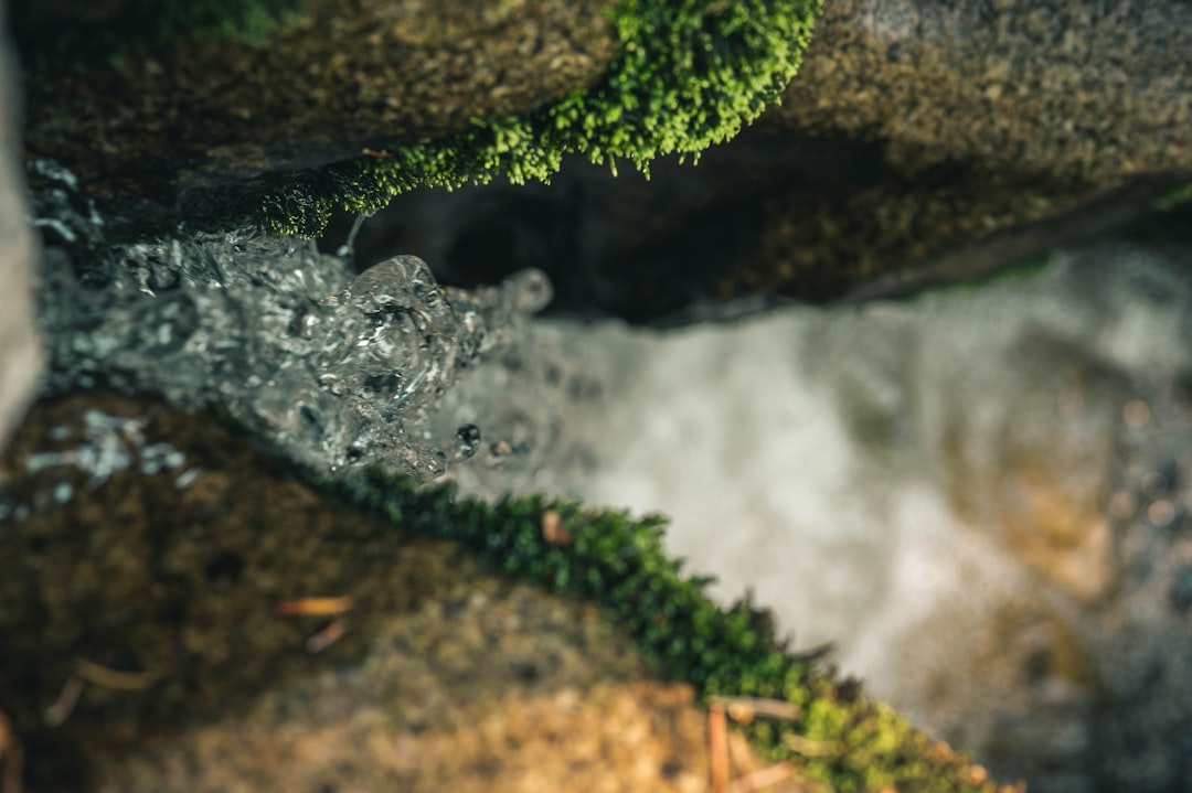 water falls in the middle of the forest