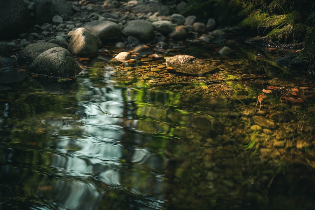 brown rocks on body of water