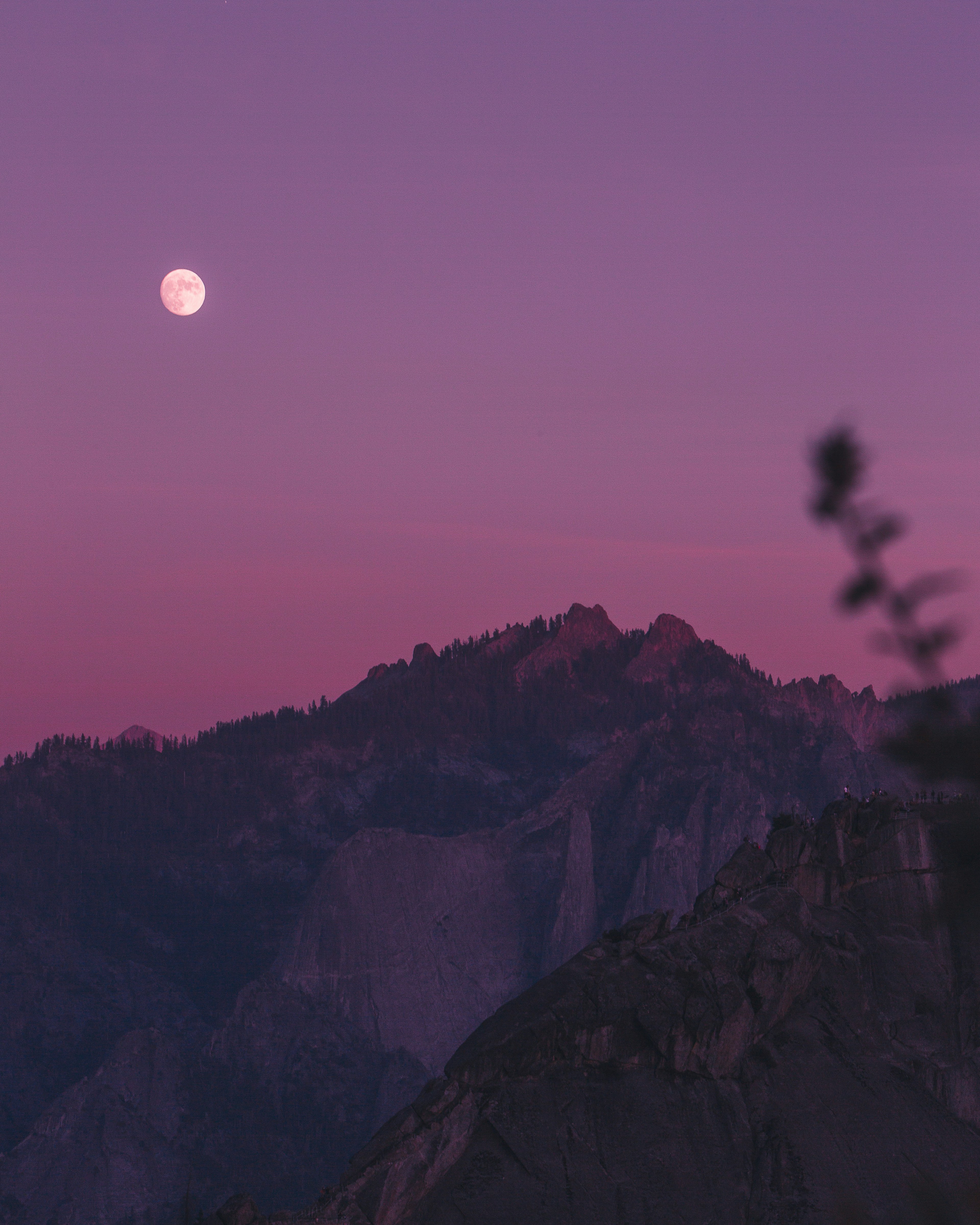 Cold Springs Campground