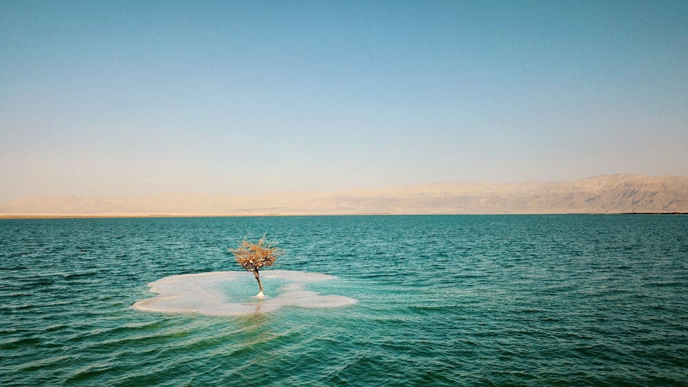 person in white surfing board on sea during daytime