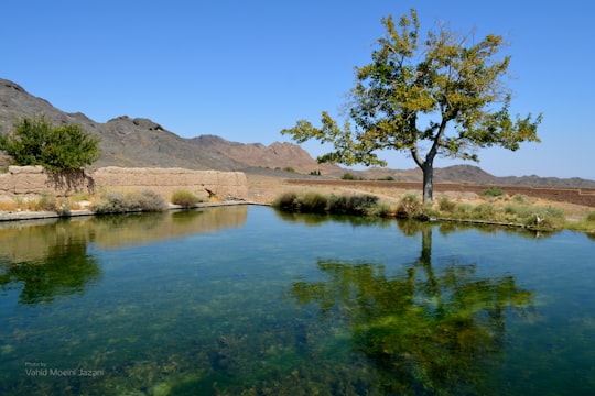 photo of Natanz Nature reserve near Isfahan