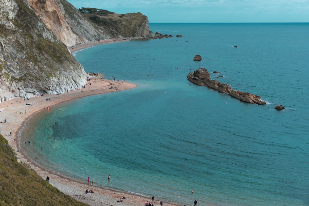 people on beach during daytime