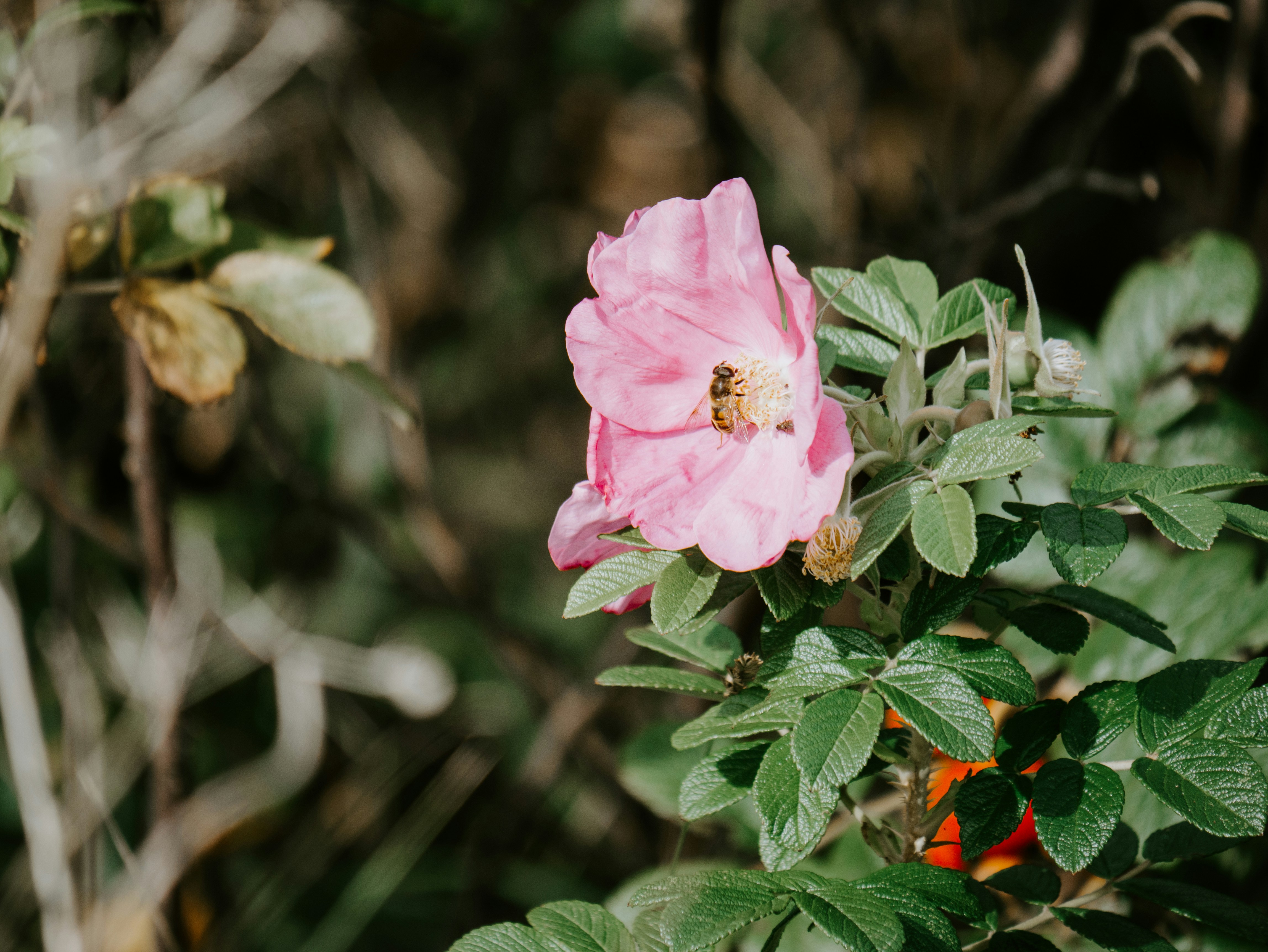 Photo by mattseymour