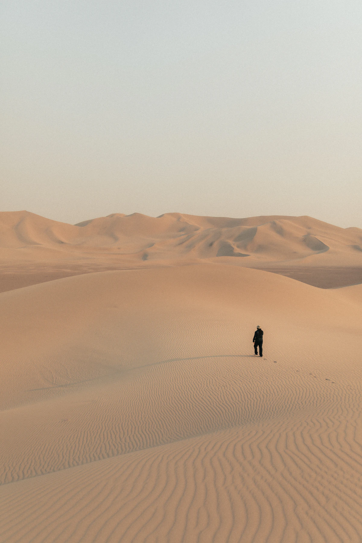 A traveller walking alone across wide desert dunes