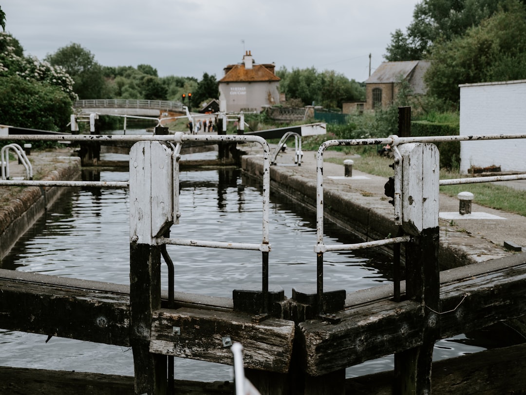 white and brown wooden dock on river during daytime