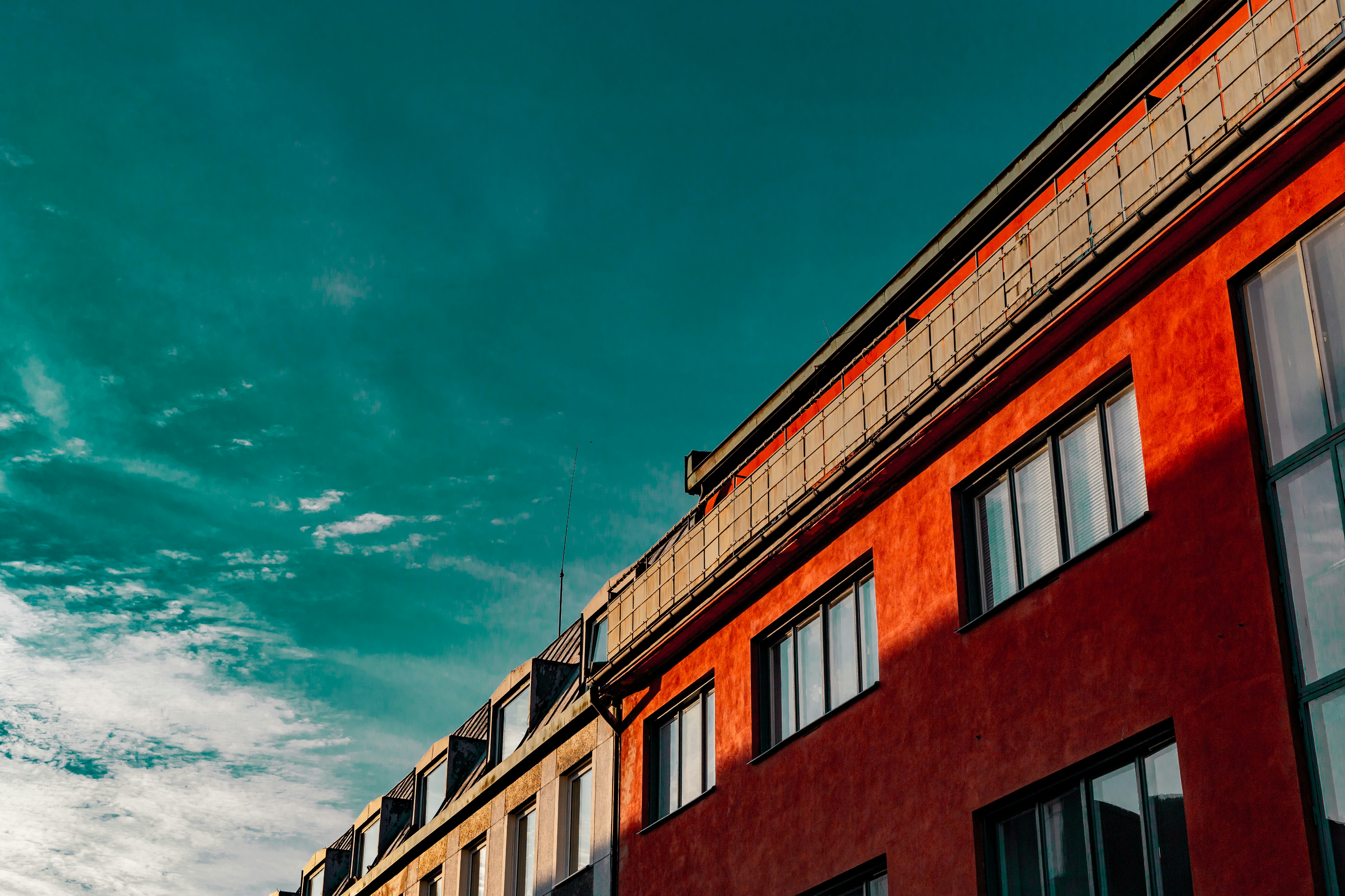 Photo by claoudtrees