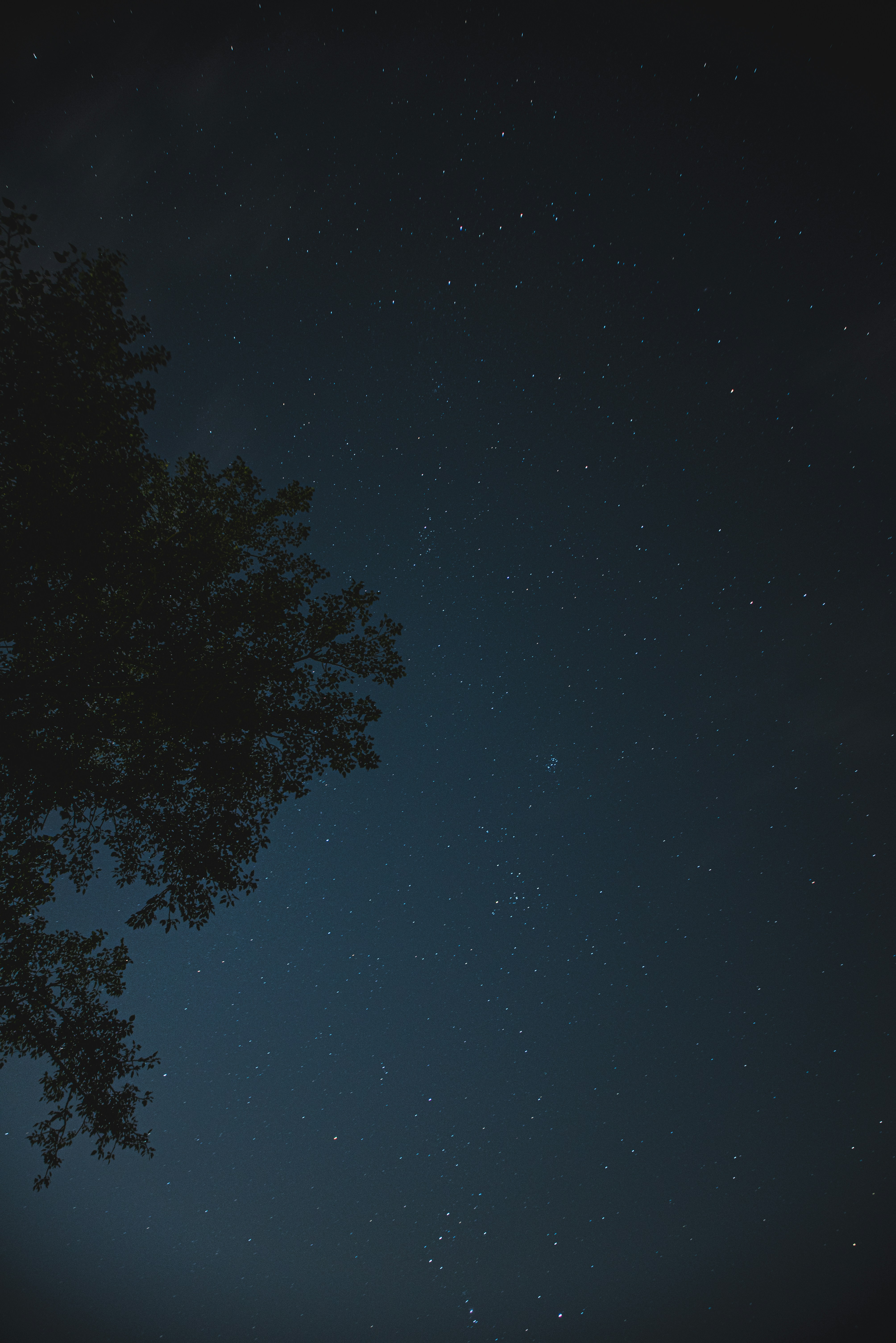 Photo by ryunosuke_kikuno