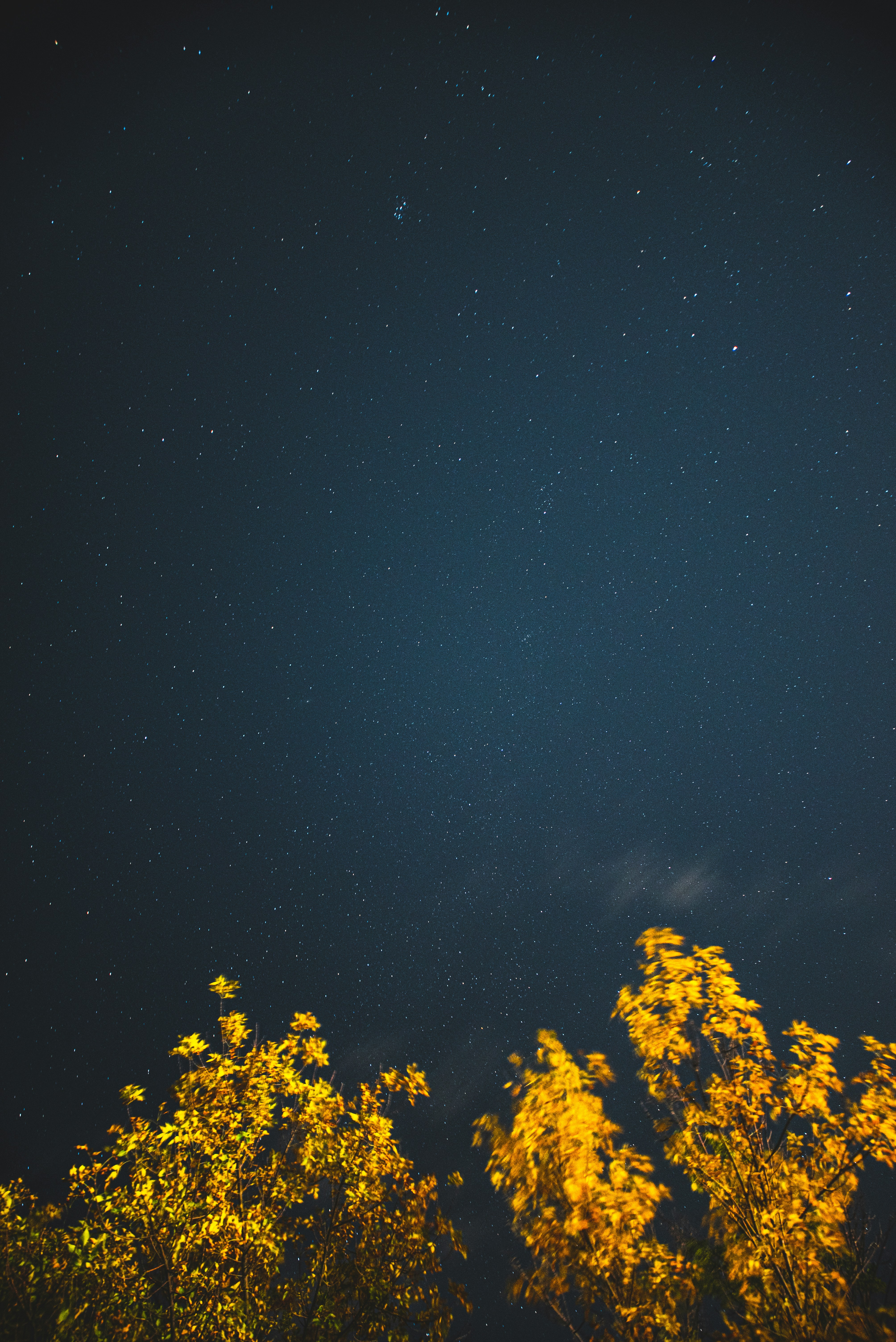 Photo by ryunosuke_kikuno