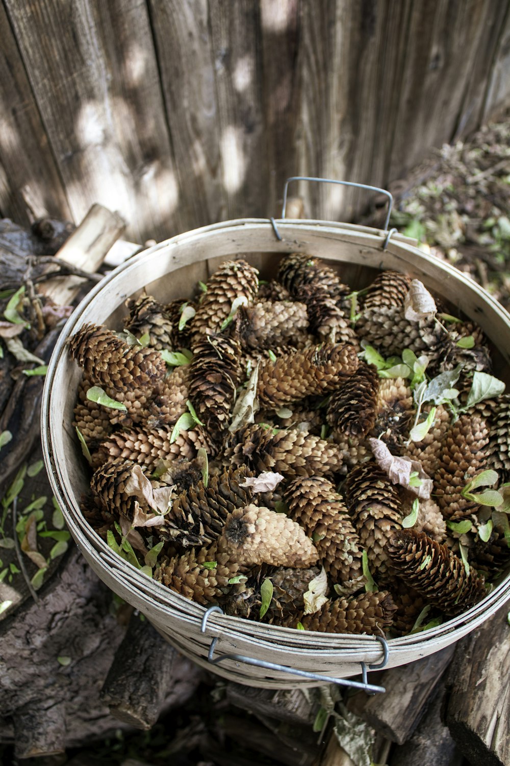 brown pine cones in stainless steel bowl