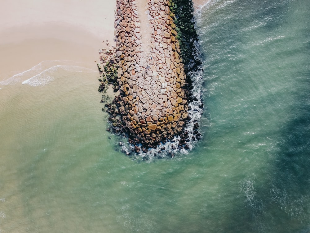 aerial view of green sea