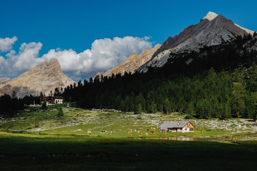 white and brown house near green grass field and mountain under blue sky during daytime