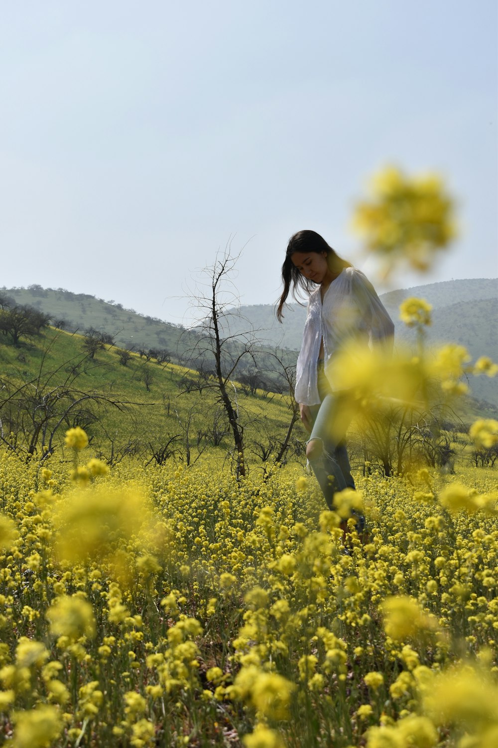 woman in white long sleeve shirt standing on yellow flower field during daytime