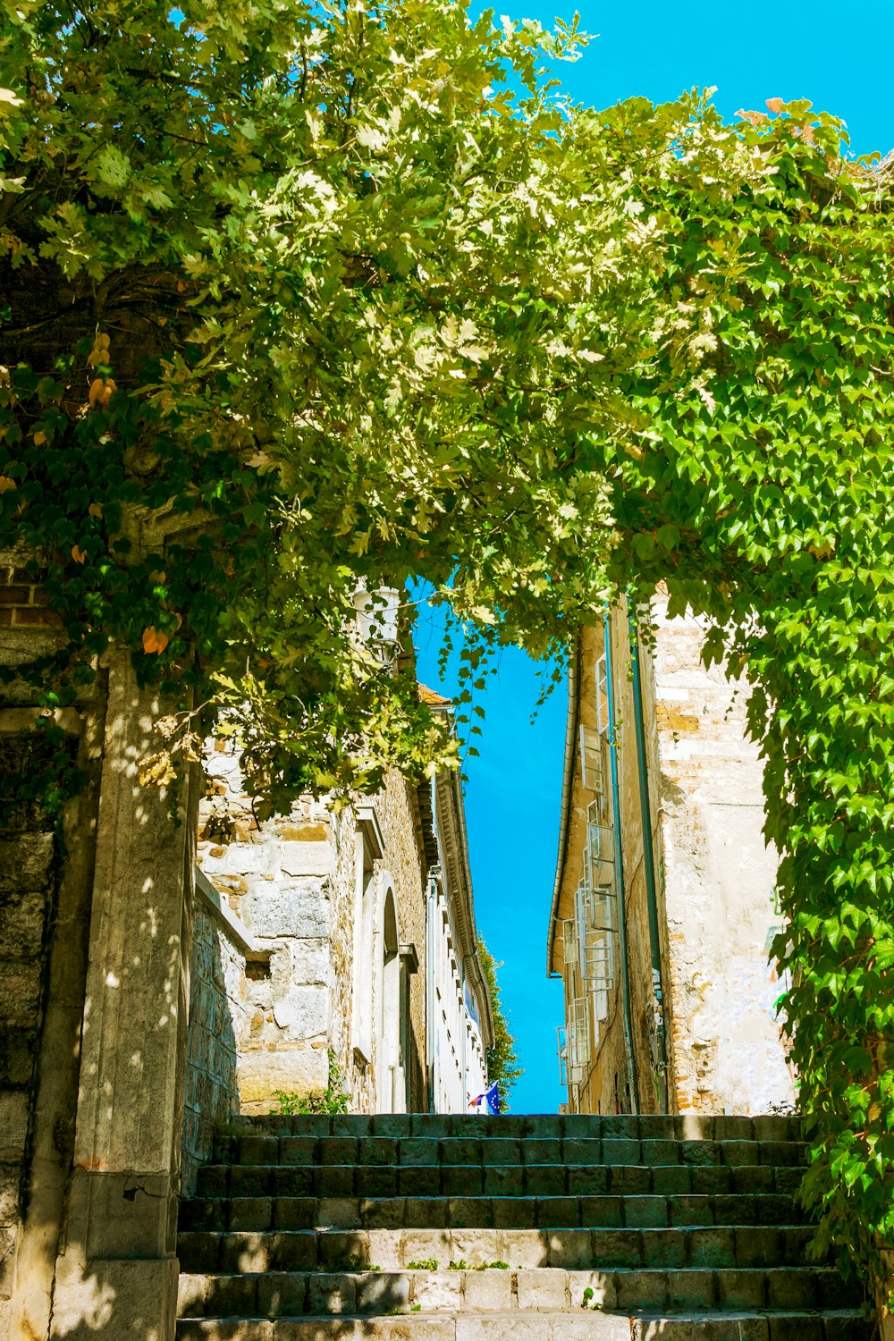 Arbre vert à côté d’un bâtiment en béton blanc pendant la journée