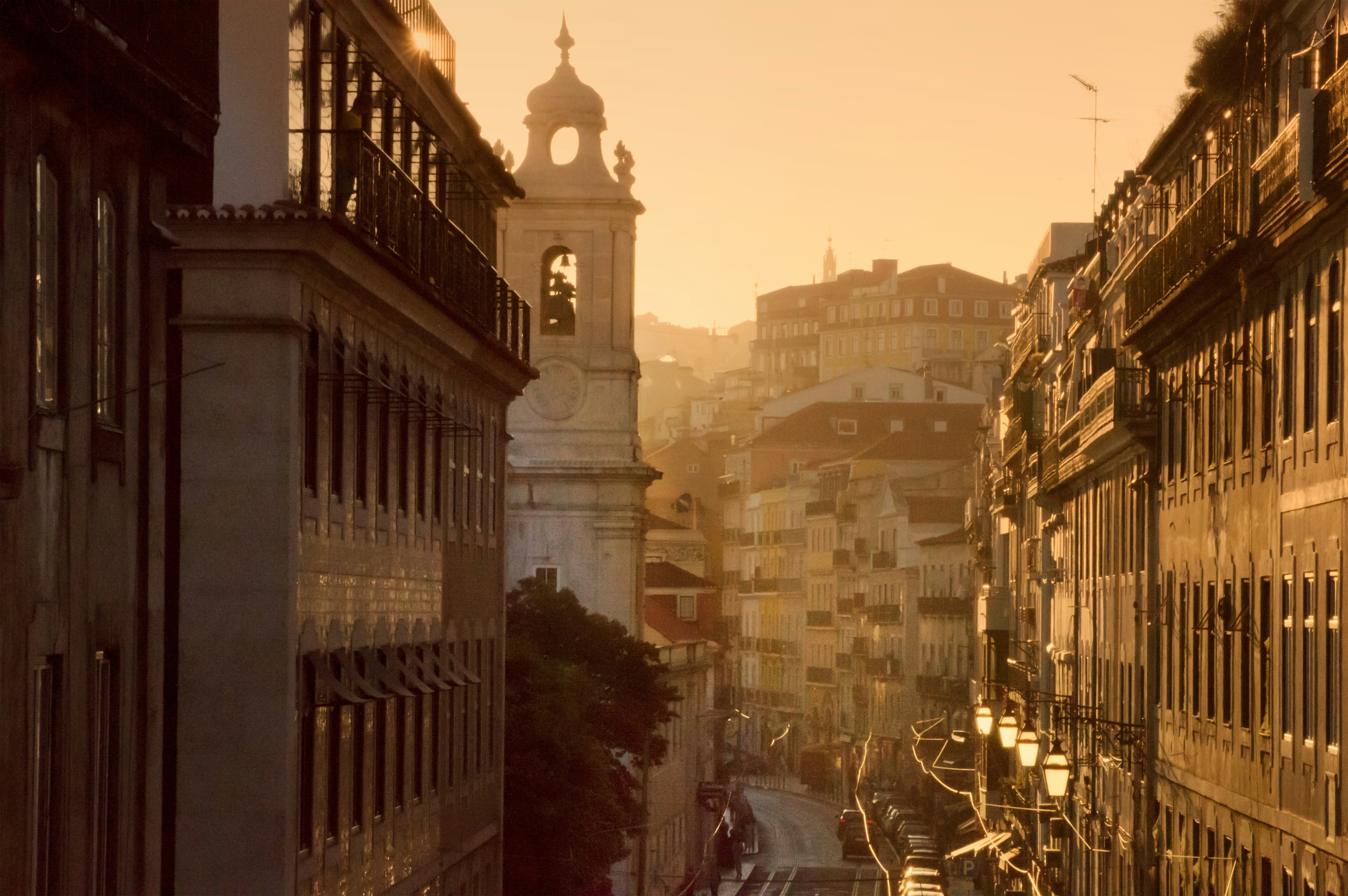 cars on road near high rise buildings during daytime