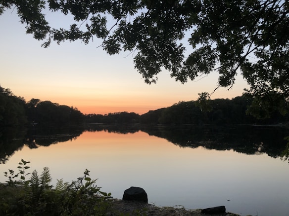 The image displays a serene lake reflecting a sunset, surrounded by a forest. The sky transitions from a soft orange to a calm blue as the sun sets. Overhanging branches and foliage frame the upper part of the image, while some plants are visible in the foreground near the water's edge.