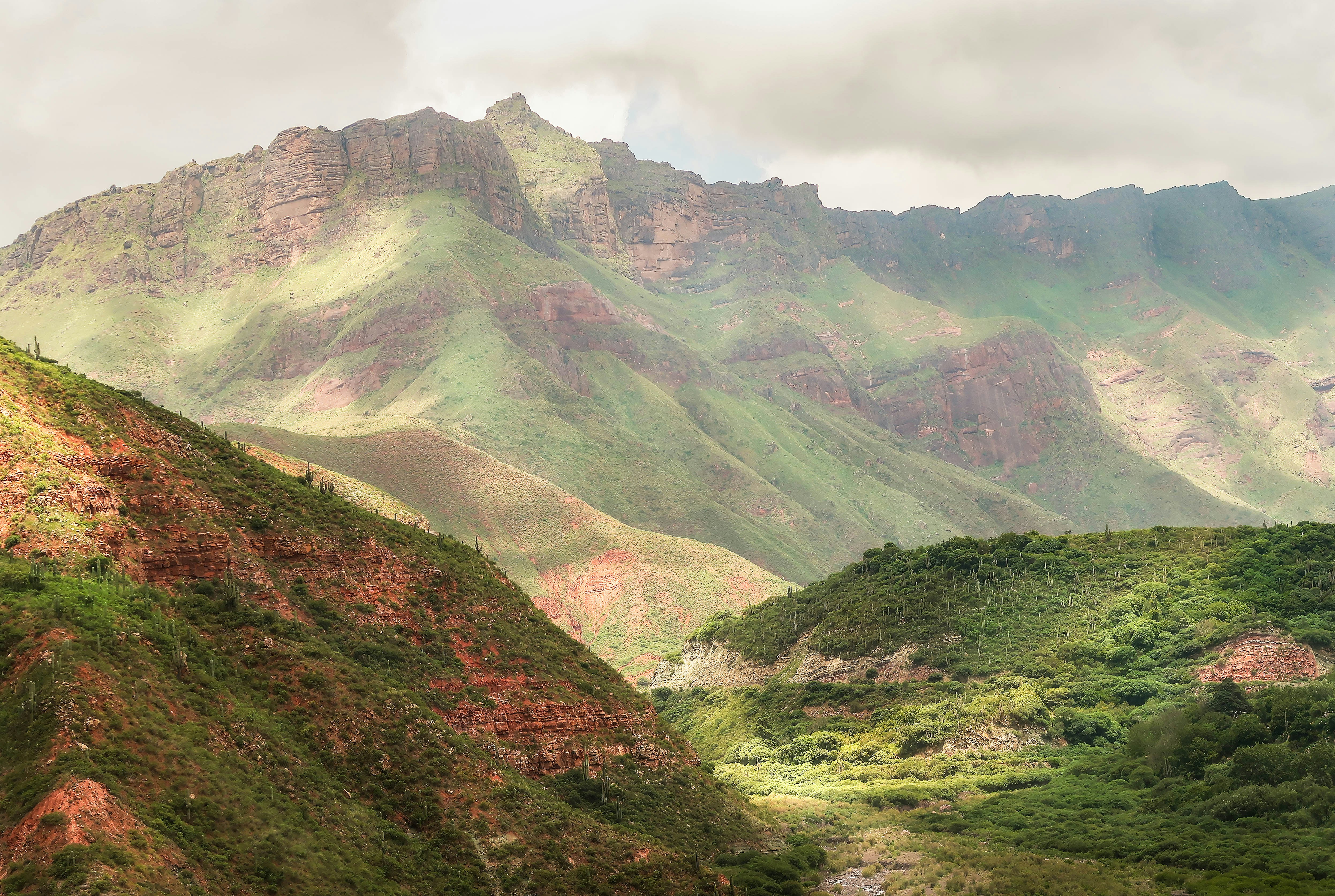 Photo by argentinanatural