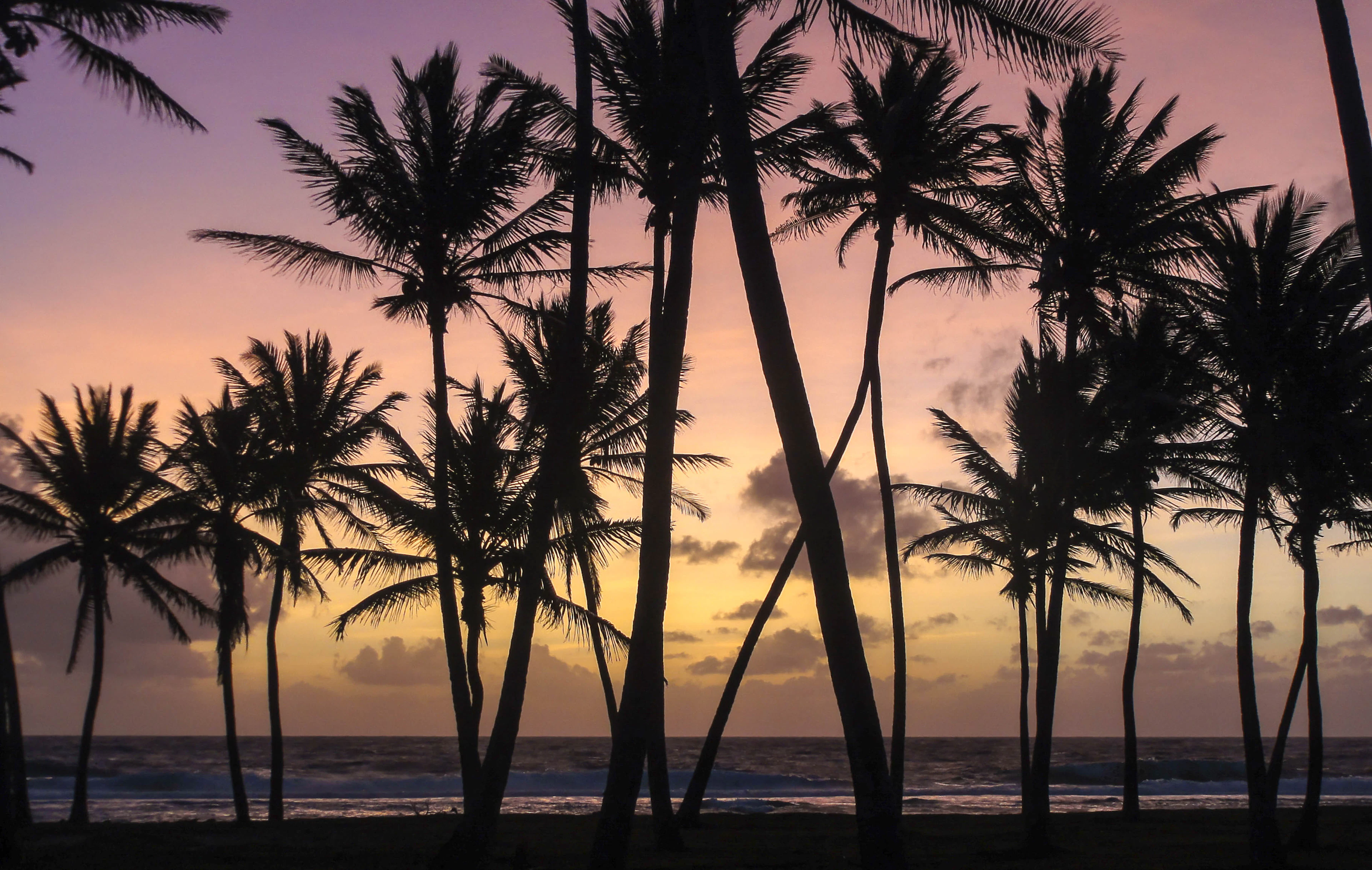 Marshall Islands landscape