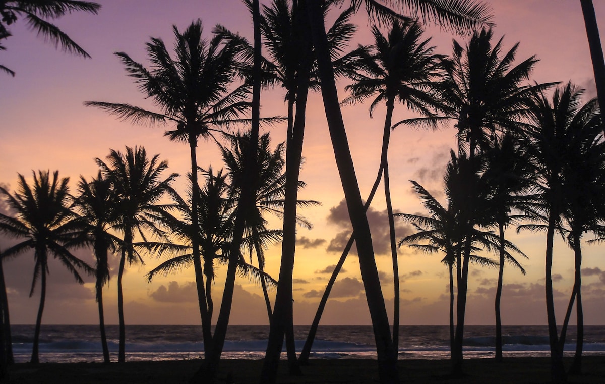 Marshall Islands, Marshall Islands