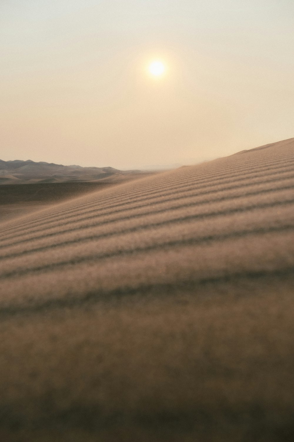 brown sand field during daytime