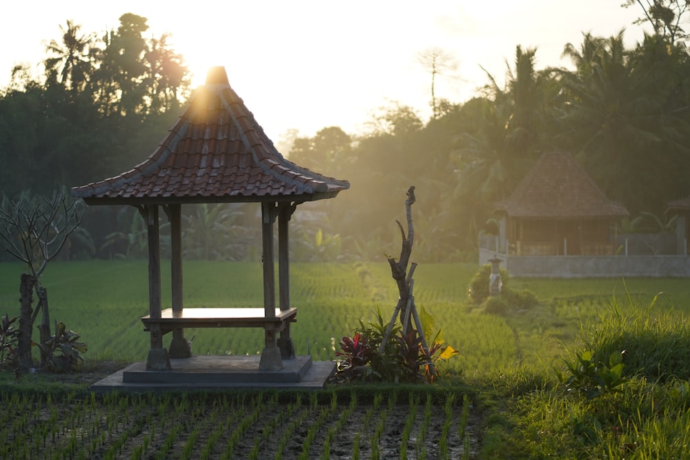 black gazebo on green grass field during daytime