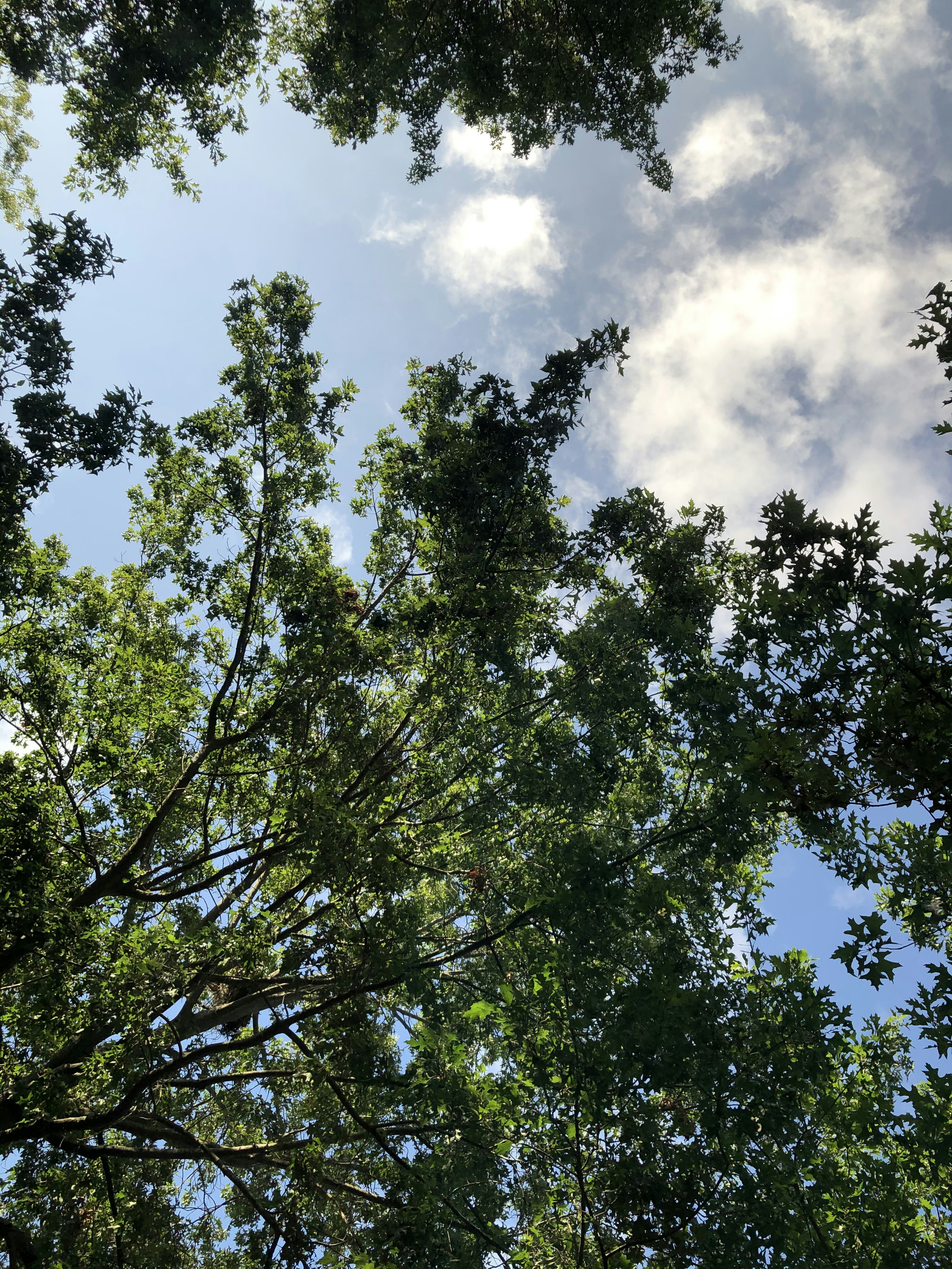 Photo by 2sweetpassion9