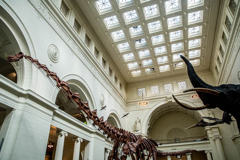 The Field Museum of Natural History building in Chicago