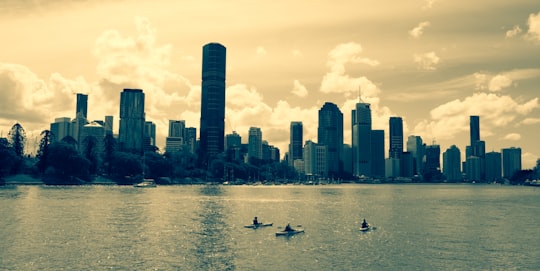 high rise buildings near body of water during daytime in Brisbane City QLD Australia
