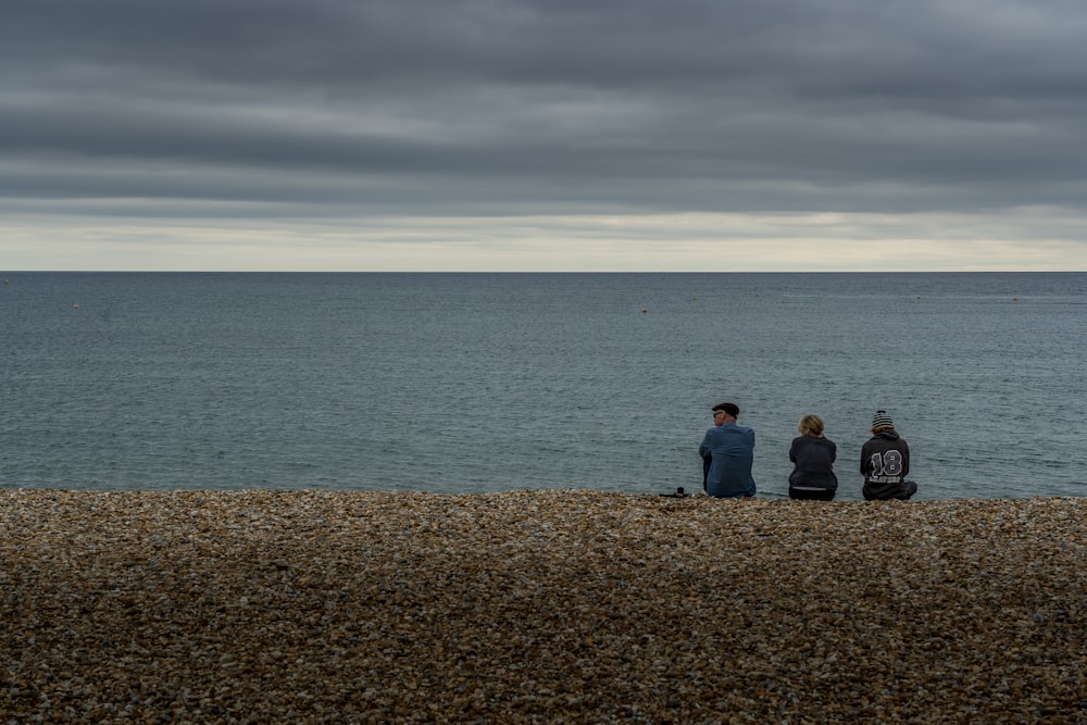 people sitting on brown grass near body of water during daytime